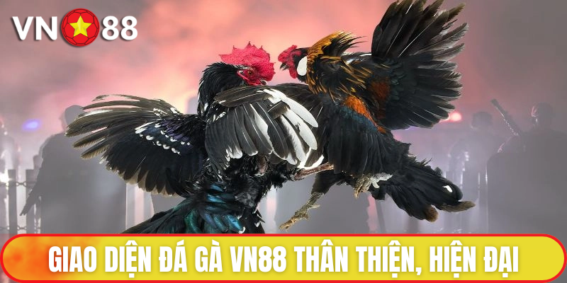 Sảnh đá gà có thiết kế chuyên nghiệp và độc đáo