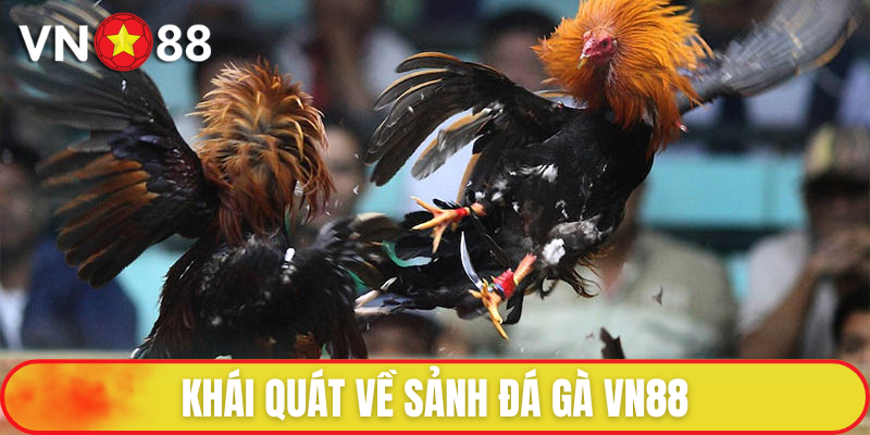 Đá gà tại VN88 là sảnh cá cược nổi tiếng