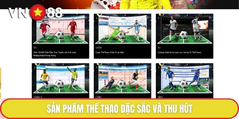 Sản phẩm thể thao đặc sắc và thu hút